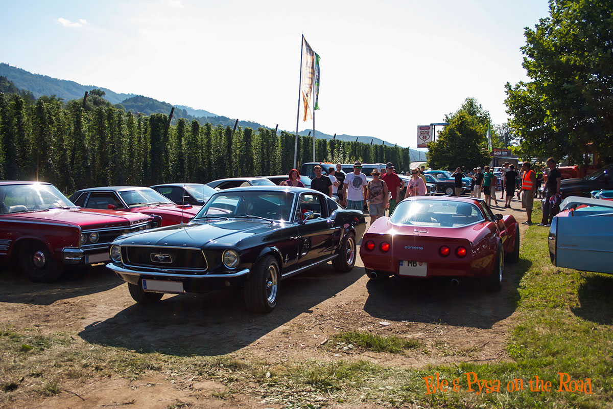 Rollin Dudes 2014 a Leutschach Austria